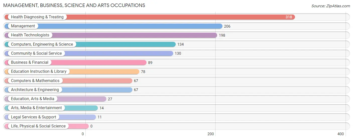 Management, Business, Science and Arts Occupations in Zip Code 28163