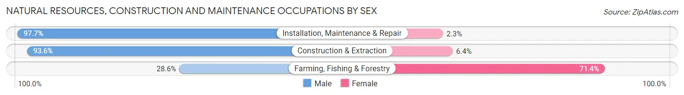 Natural Resources, Construction and Maintenance Occupations by Sex in Zip Code 28163