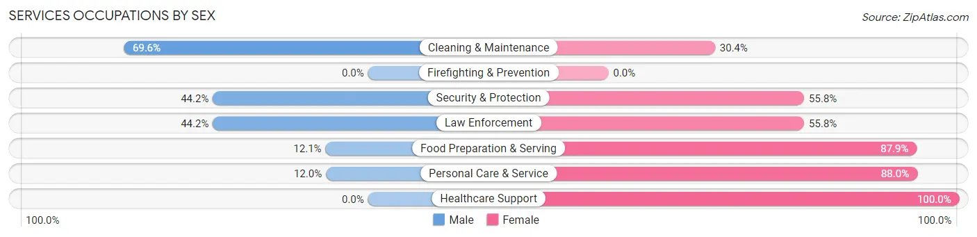 Services Occupations by Sex in Zip Code 28163