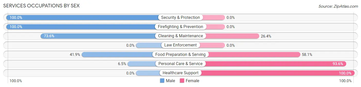 Services Occupations by Sex in Zip Code 28166
