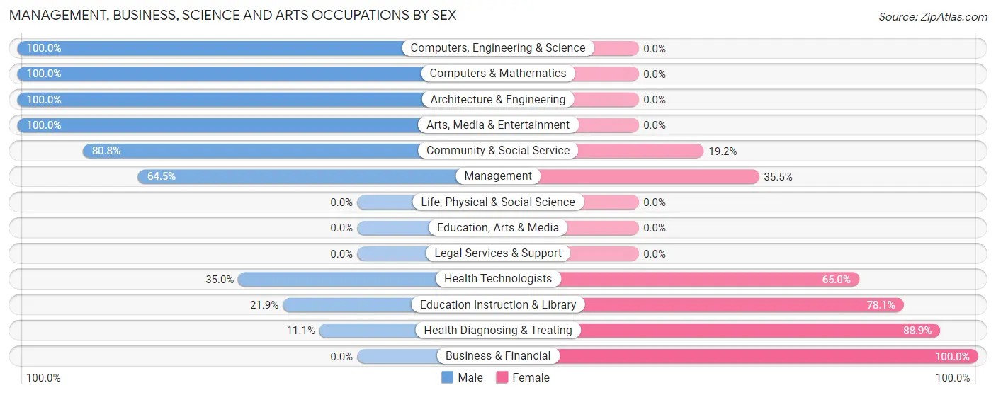 Management, Business, Science and Arts Occupations by Sex in Zip Code 28167