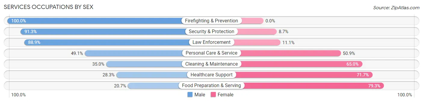 Services Occupations by Sex in Zip Code 28168