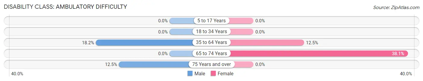 Disability in Zip Code 28169: <span>Ambulatory Difficulty</span>