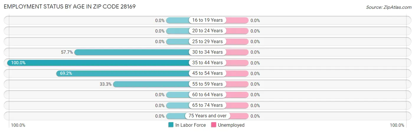 Employment Status by Age in Zip Code 28169