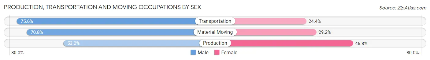 Production, Transportation and Moving Occupations by Sex in Zip Code 28170