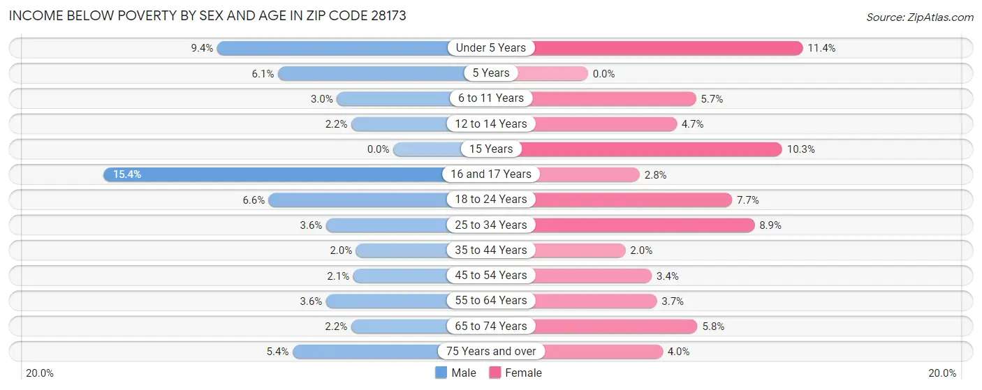 Income Below Poverty by Sex and Age in Zip Code 28173