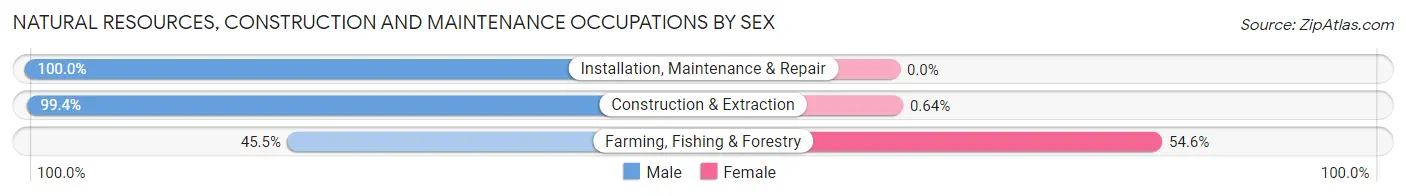 Natural Resources, Construction and Maintenance Occupations by Sex in Zip Code 28173