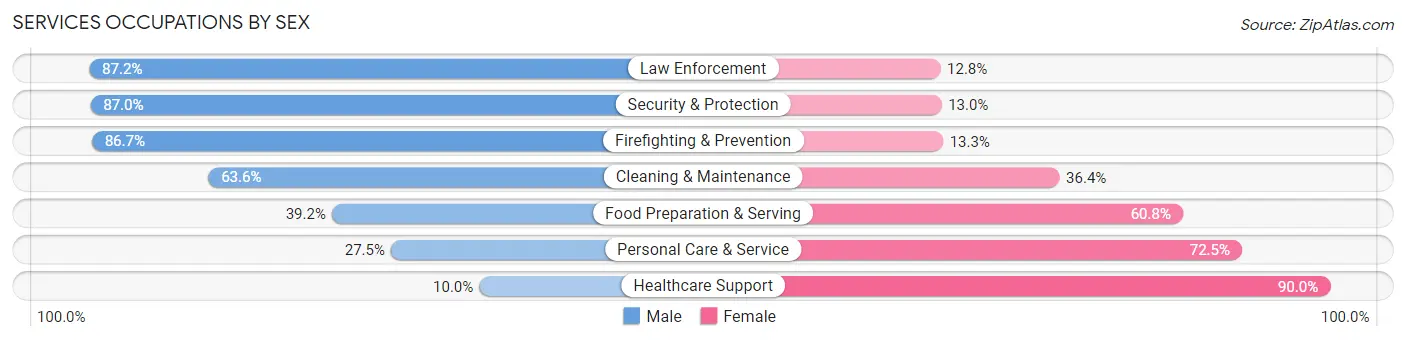 Services Occupations by Sex in Zip Code 28173