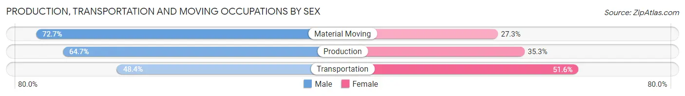 Production, Transportation and Moving Occupations by Sex in Zip Code 28203
