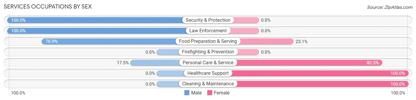 Services Occupations by Sex in Zip Code 28207