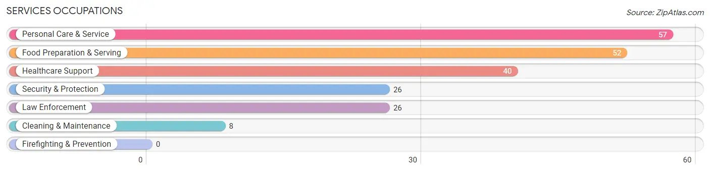 Services Occupations in Zip Code 28207