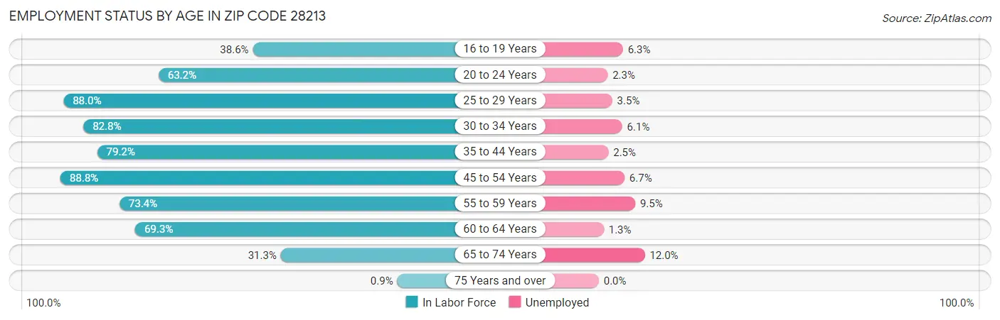 Employment Status by Age in Zip Code 28213