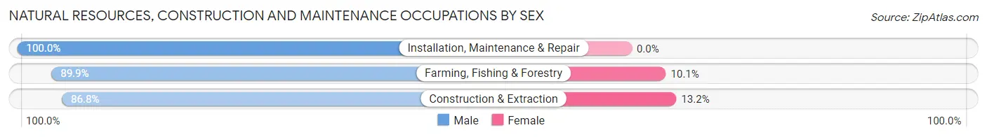 Natural Resources, Construction and Maintenance Occupations by Sex in Zip Code 28215