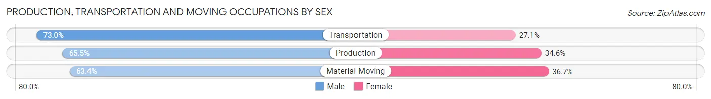 Production, Transportation and Moving Occupations by Sex in Zip Code 28216