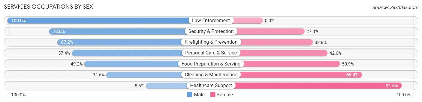 Services Occupations by Sex in Zip Code 28217