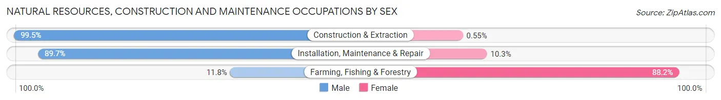 Natural Resources, Construction and Maintenance Occupations by Sex in Zip Code 28227