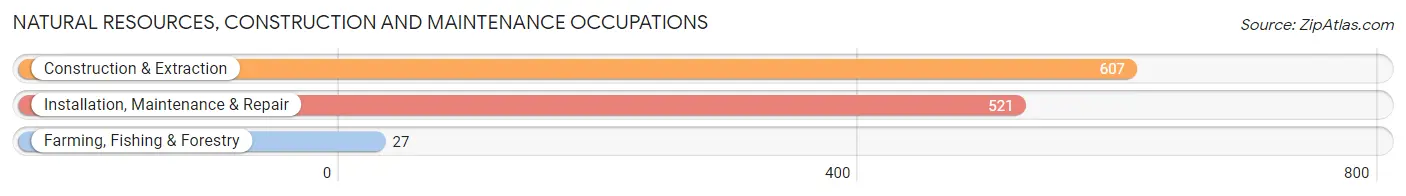 Natural Resources, Construction and Maintenance Occupations in Zip Code 28262