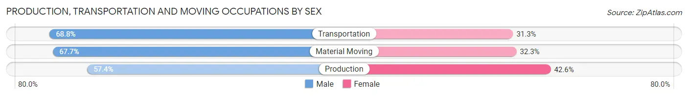 Production, Transportation and Moving Occupations by Sex in Zip Code 28304