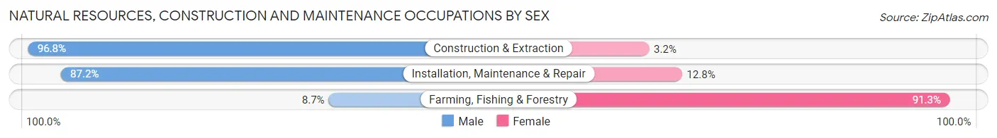 Natural Resources, Construction and Maintenance Occupations by Sex in Zip Code 28314