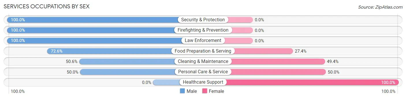 Services Occupations by Sex in Zip Code 28320