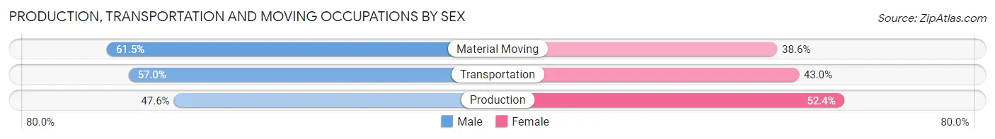 Production, Transportation and Moving Occupations by Sex in Zip Code 28339
