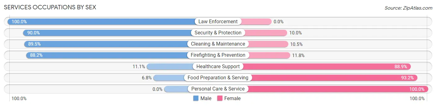 Services Occupations by Sex in Zip Code 28343