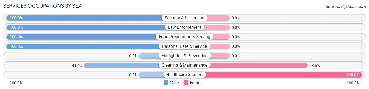 Services Occupations by Sex in Zip Code 28347