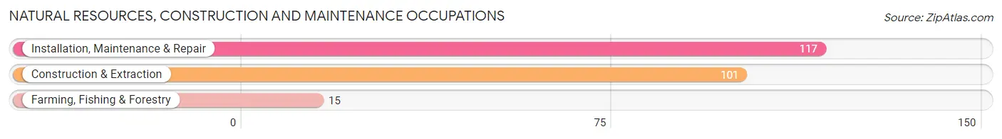 Natural Resources, Construction and Maintenance Occupations in Zip Code 28371