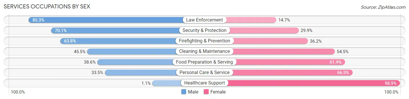 Services Occupations by Sex in Zip Code 28376