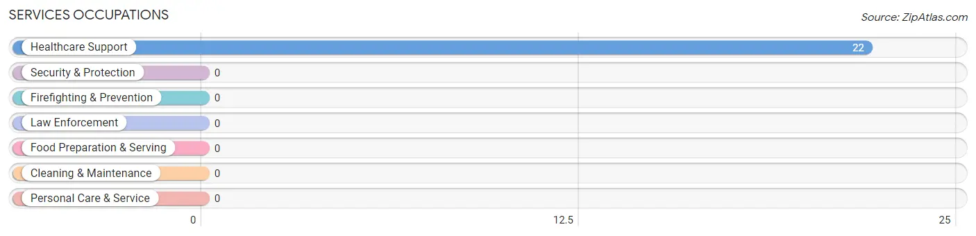 Services Occupations in Zip Code 28378