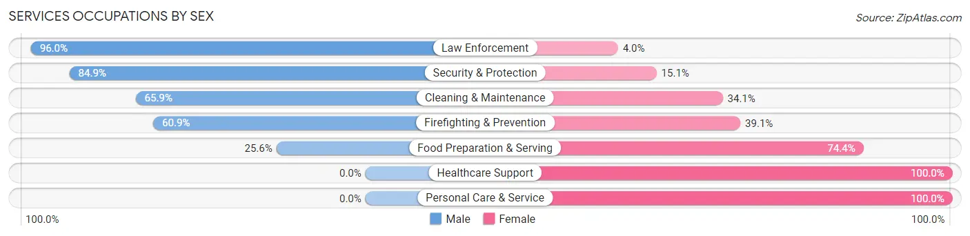 Services Occupations by Sex in Zip Code 28383