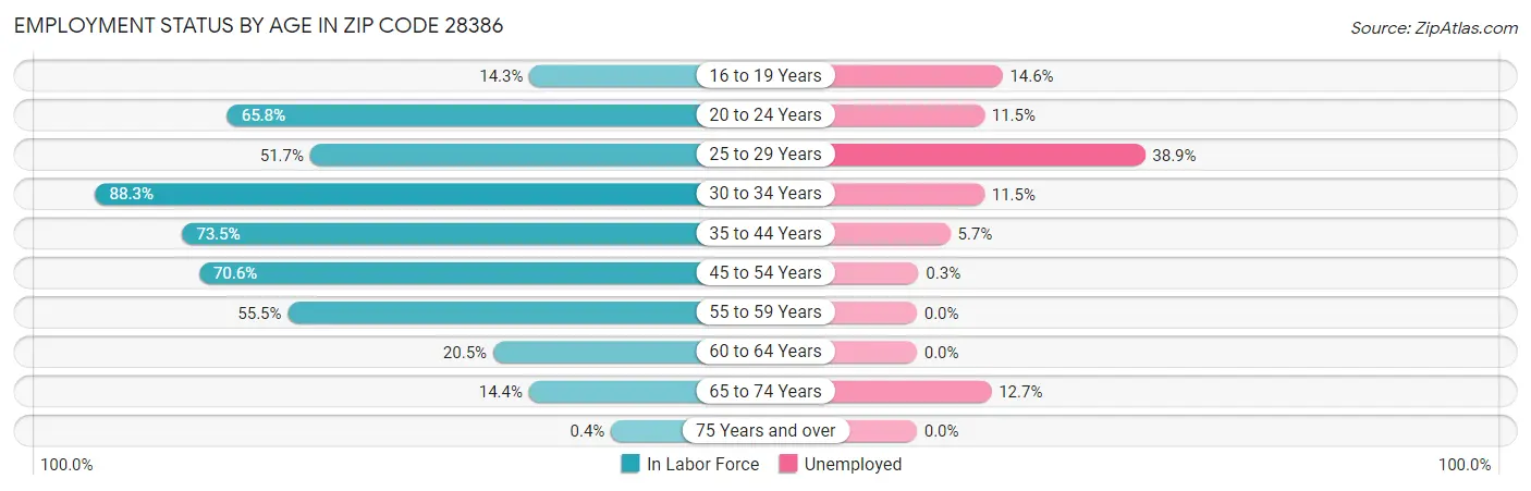 Employment Status by Age in Zip Code 28386