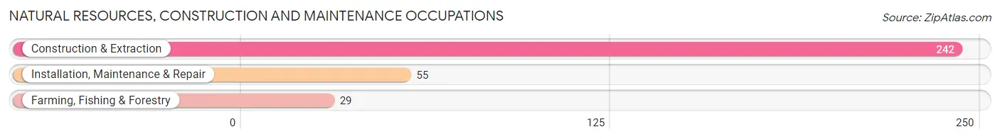 Natural Resources, Construction and Maintenance Occupations in Zip Code 28386