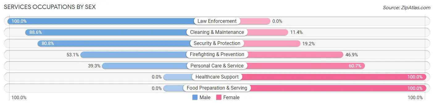 Services Occupations by Sex in Zip Code 28391