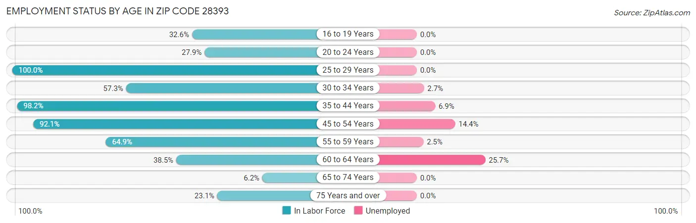 Employment Status by Age in Zip Code 28393