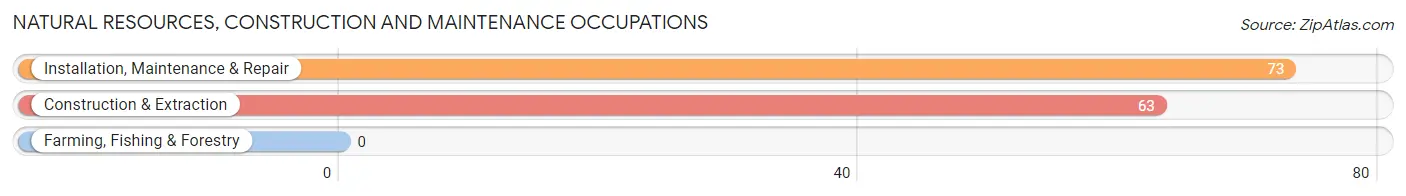 Natural Resources, Construction and Maintenance Occupations in Zip Code 28395