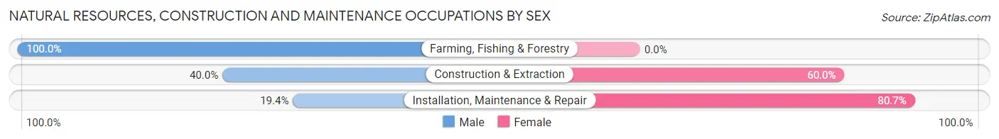 Natural Resources, Construction and Maintenance Occupations by Sex in Zip Code 28399