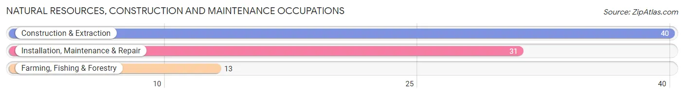 Natural Resources, Construction and Maintenance Occupations in Zip Code 28399