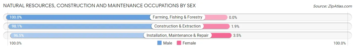 Natural Resources, Construction and Maintenance Occupations by Sex in Zip Code 28409