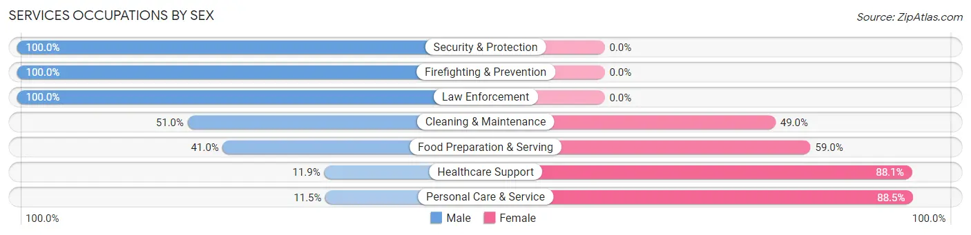 Services Occupations by Sex in Zip Code 28409