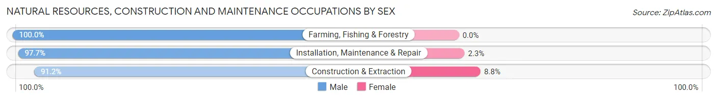Natural Resources, Construction and Maintenance Occupations by Sex in Zip Code 28411
