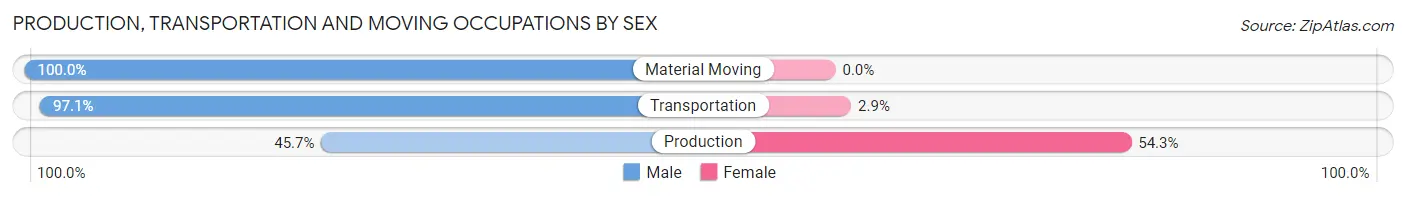 Production, Transportation and Moving Occupations by Sex in Zip Code 28422