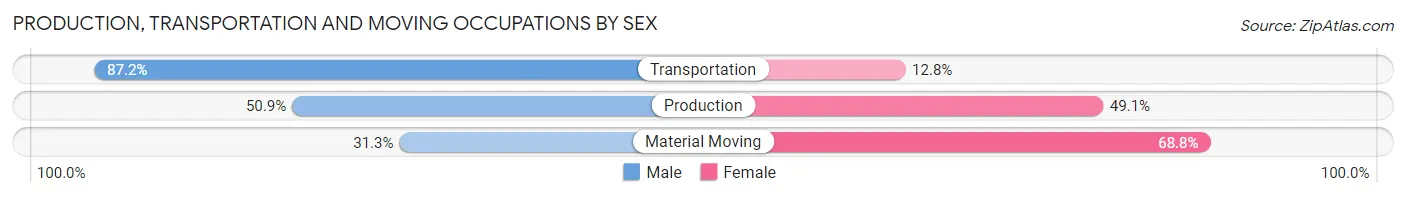 Production, Transportation and Moving Occupations by Sex in Zip Code 28423