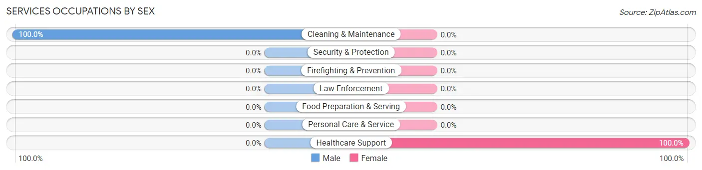 Services Occupations by Sex in Zip Code 28424