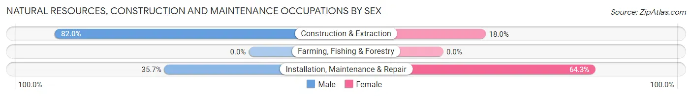 Natural Resources, Construction and Maintenance Occupations by Sex in Zip Code 28428