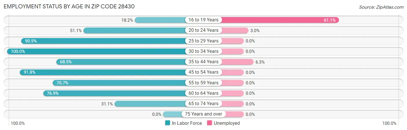 Employment Status by Age in Zip Code 28430