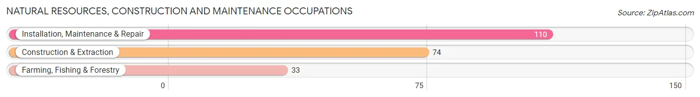 Natural Resources, Construction and Maintenance Occupations in Zip Code 28431