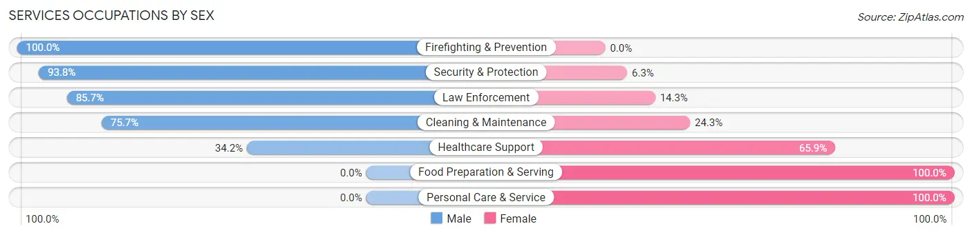 Services Occupations by Sex in Zip Code 28431