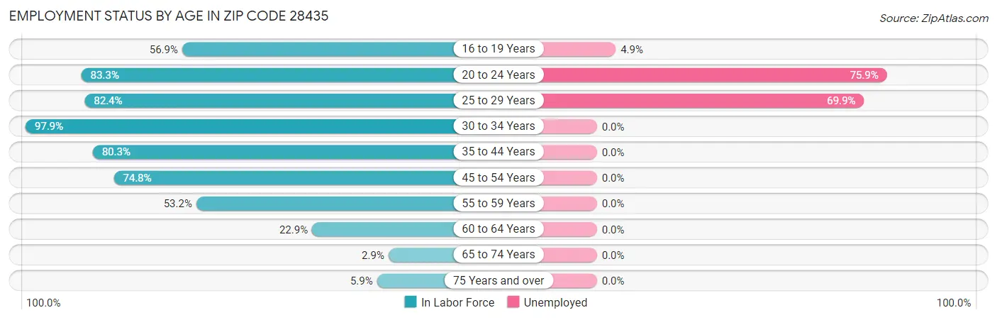 Employment Status by Age in Zip Code 28435