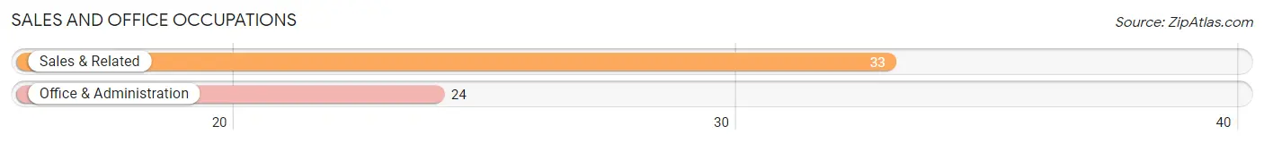 Sales and Office Occupations in Zip Code 28438